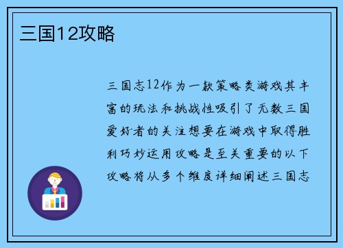 三国12攻略
