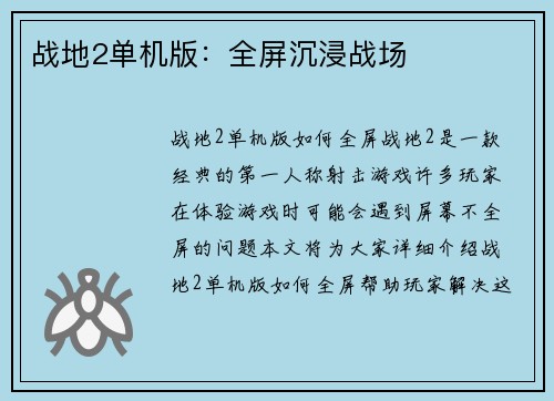 战地2单机版：全屏沉浸战场